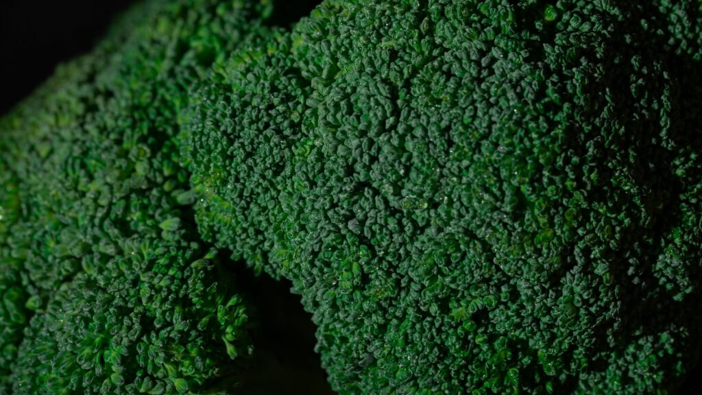 High-quality macro shot of vibrant green broccoli florets showcasing texture and freshness.